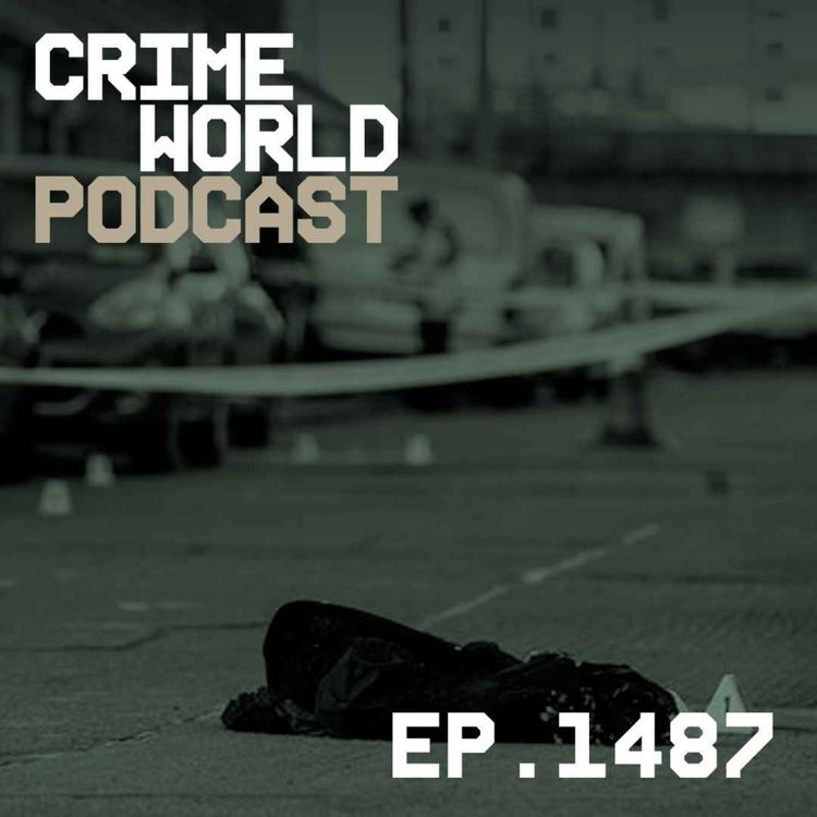 cover art for How a 17-year-old was mistakenly shot in a 'northside v southside' Dublin feud 