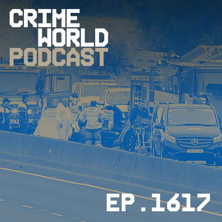 cover art for The fatal M9 wrong-way crash and the teens linked to the Lucky Dip gang
