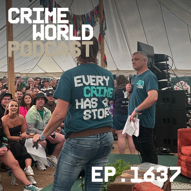 cover art for The Electric Picnic debrief 2026
