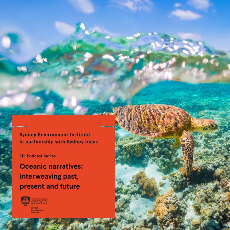 cover art for Oceanic narratives: interweaving past, present and future