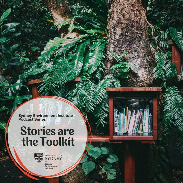 cover art for Stories are the Toolkit