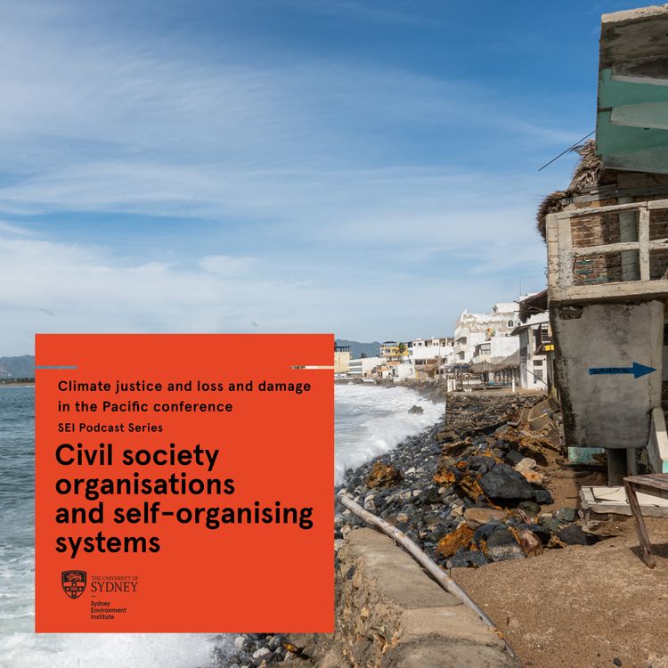 cover art for Civil society organisations and self-organising communities (Climate justice and loss and damage in the Pacific conference)