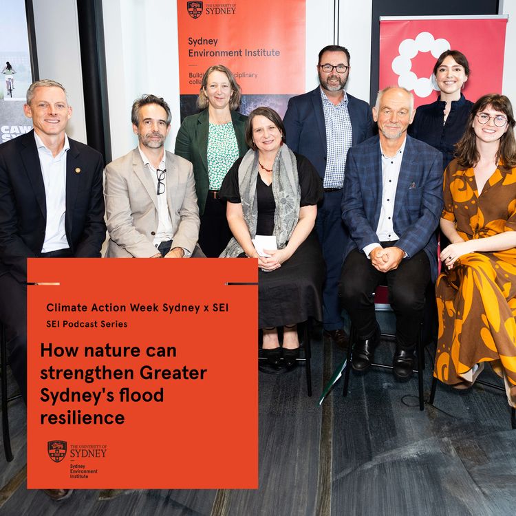 cover art for How nature can strengthen Greater Sydney's flood resilience