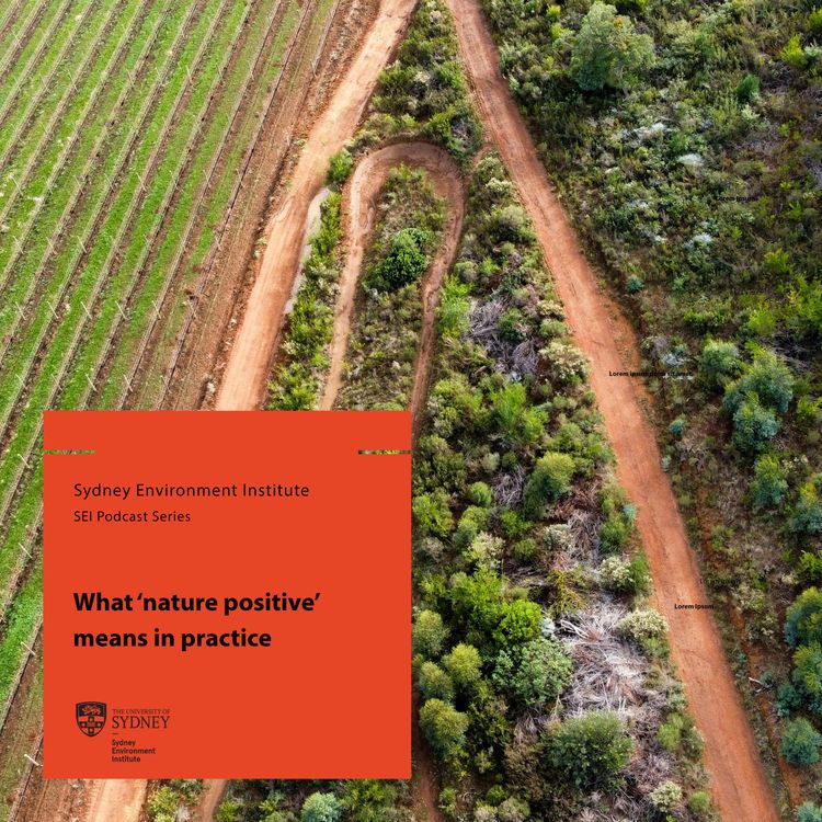 cover art for What ‘nature positive’ means in practice