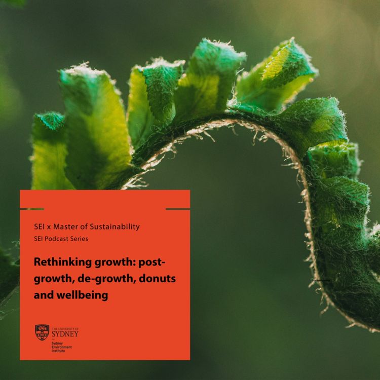 cover art for Rethinking growth: Post-growth, de-growth, donuts and well-being