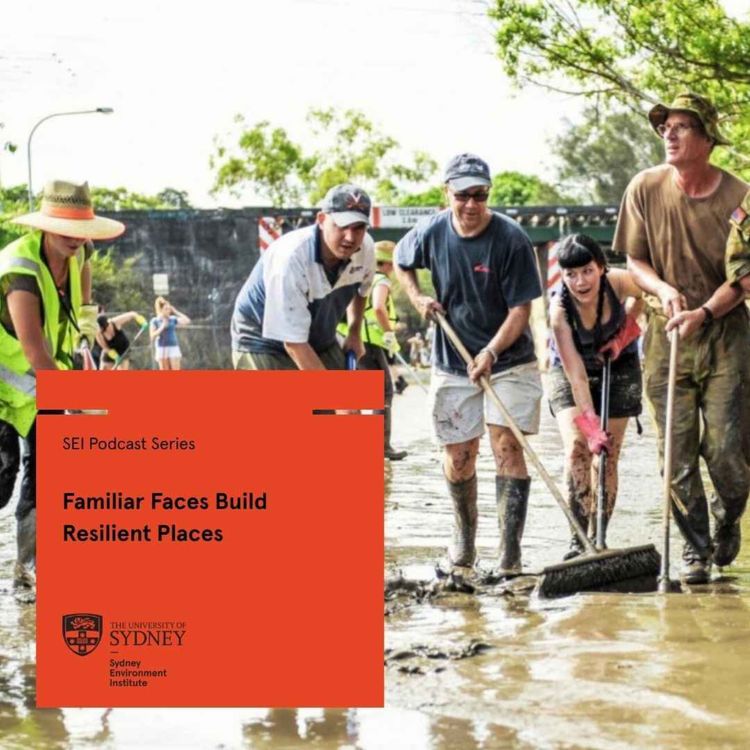 cover art for Familiar Faces Build Resilient Places