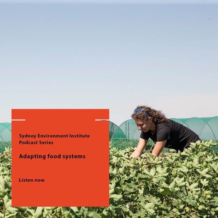 cover art for Adapting our food systems