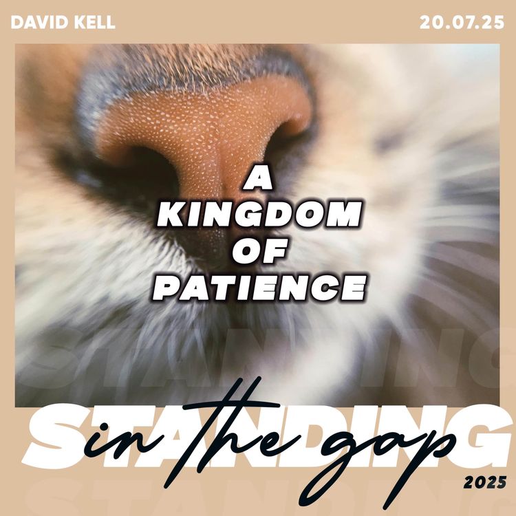 cover art for A Kingdom of Patience- David Kell 20.07.25