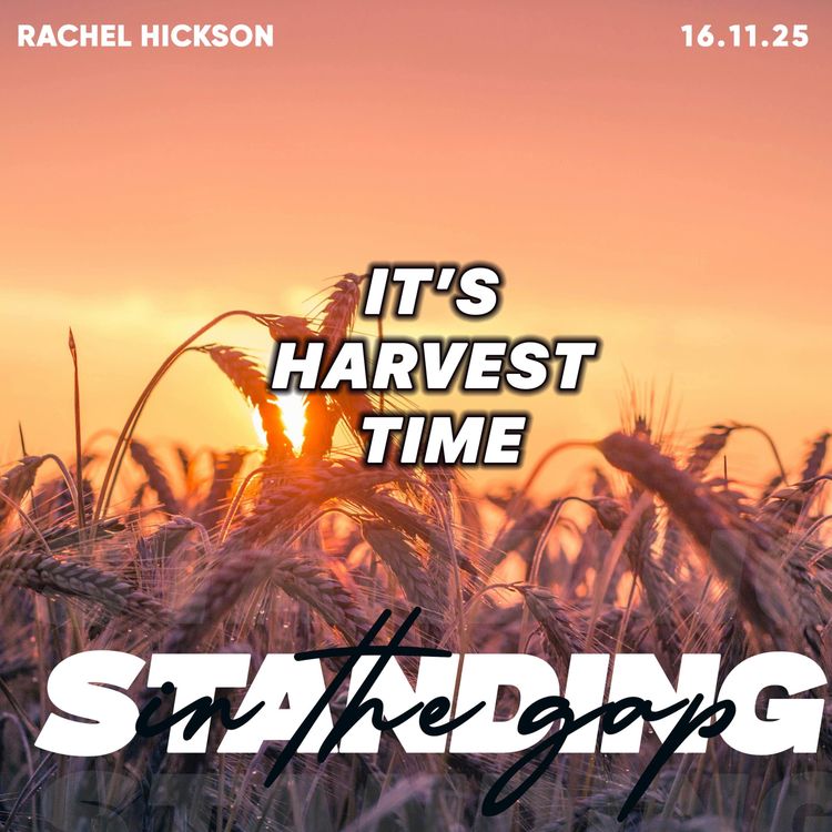 cover art for It's Harvest Time- Rachel Hickson 16.11.25