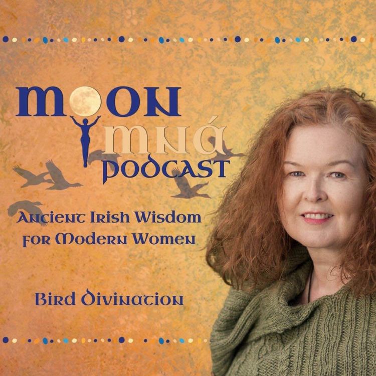 cover art for Bird Divination- Ancient Irish Wisdom for Modern Women: A Moon Mná Podcast