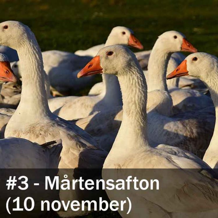 cover art for Mårtensafton (10 november)