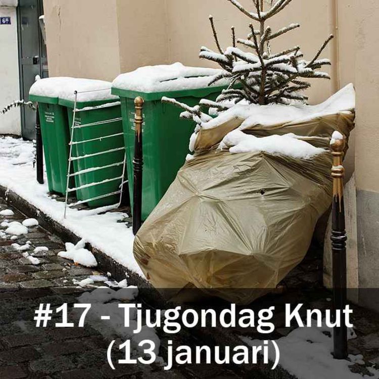 cover art for Tjugondag Knut (13 januari)