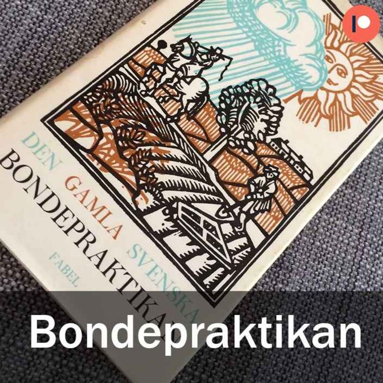 cover art for Bondepraktikan