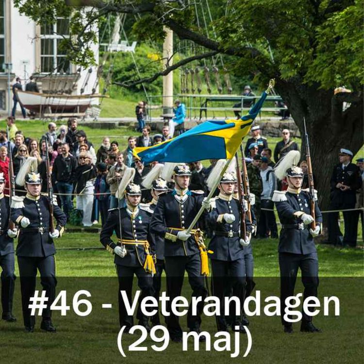 cover art for Veterandagen (29 maj)