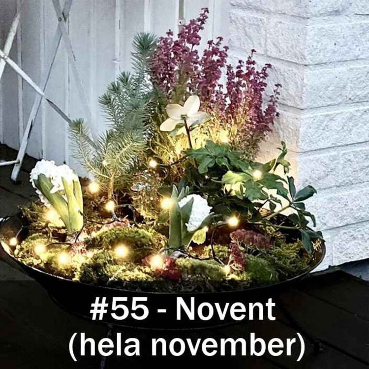 cover art for Novent (hela november)