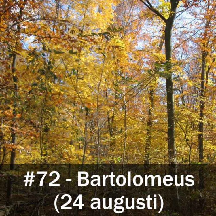 cover art for Bartolomeusdagen (24 augusti)