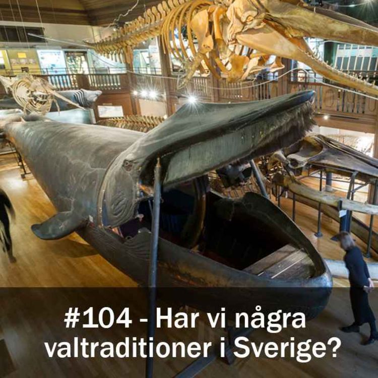 cover art for Har vi några valtraditioner i Sverige?