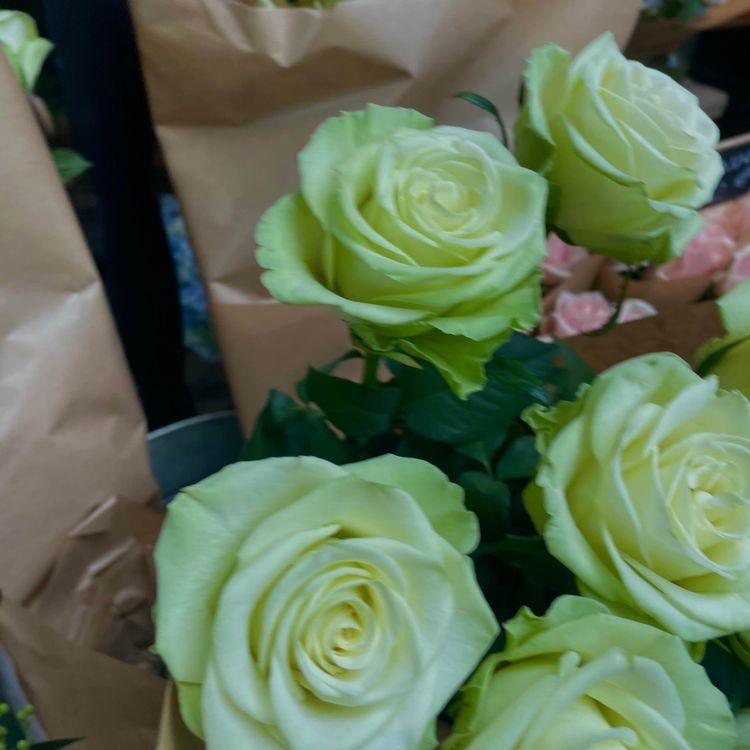 cover art for Mon premier épisode : vous n’êtes plus des enfants 