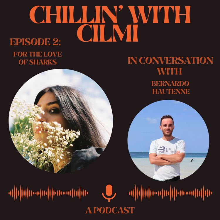 cover art for FOR THE LOVE OF SHARKS