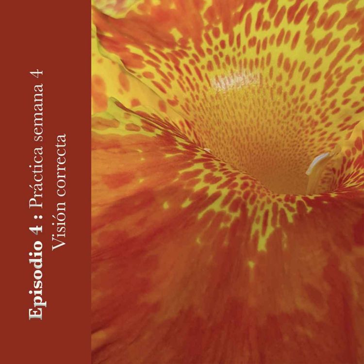 cover art for #4 Visión correcta - Semana 4