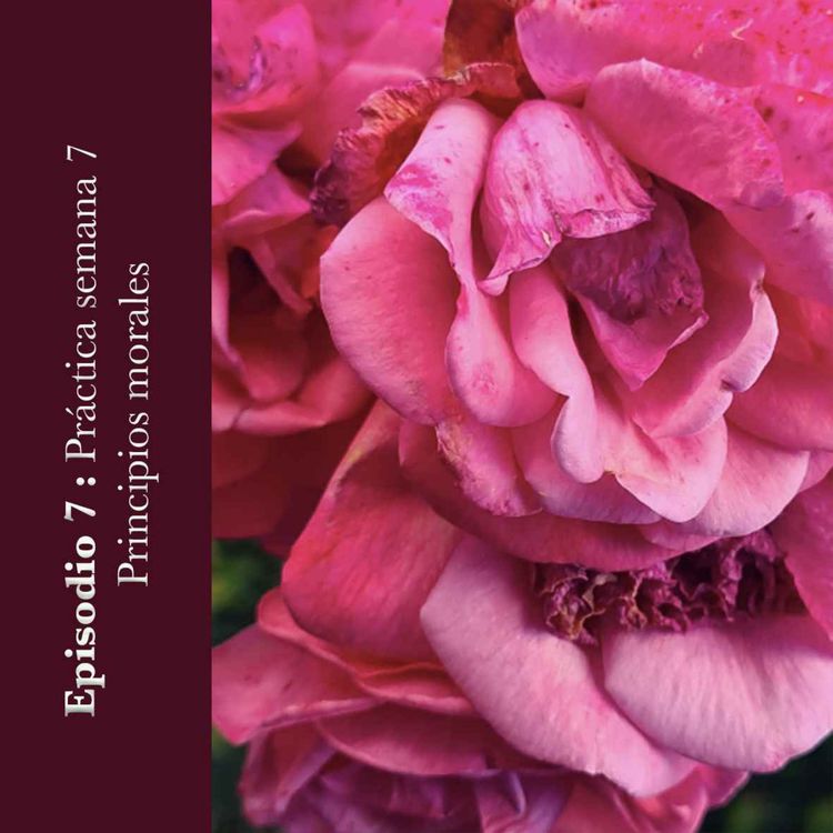 cover art for #7 Principios morales - Semana 7