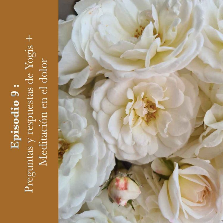 cover art for #9 Preguntas y respuestas de Yogis + Meditación en el dolor