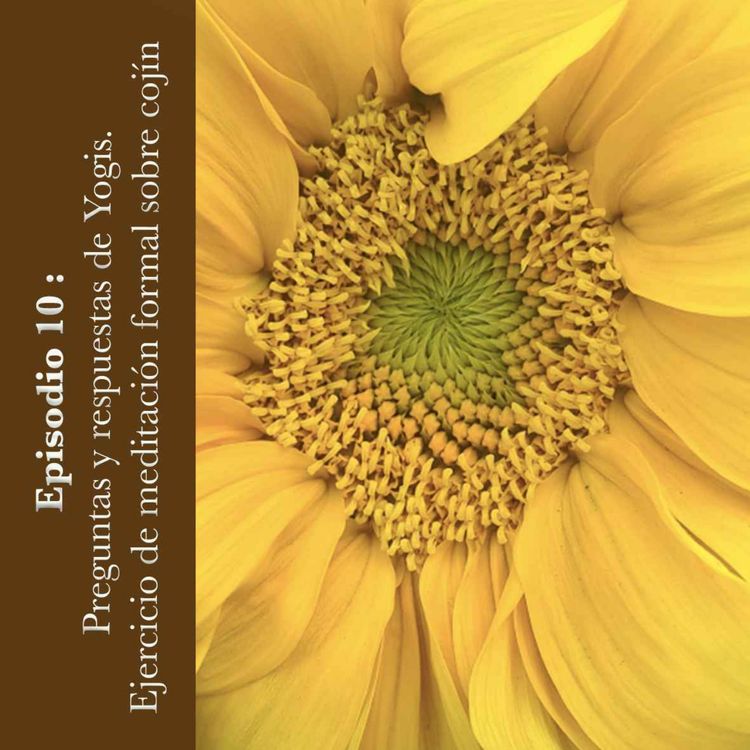 cover art for #10 Preguntas y respuestas de Yogis. Ejercicio de meditación formal sobre cojín 