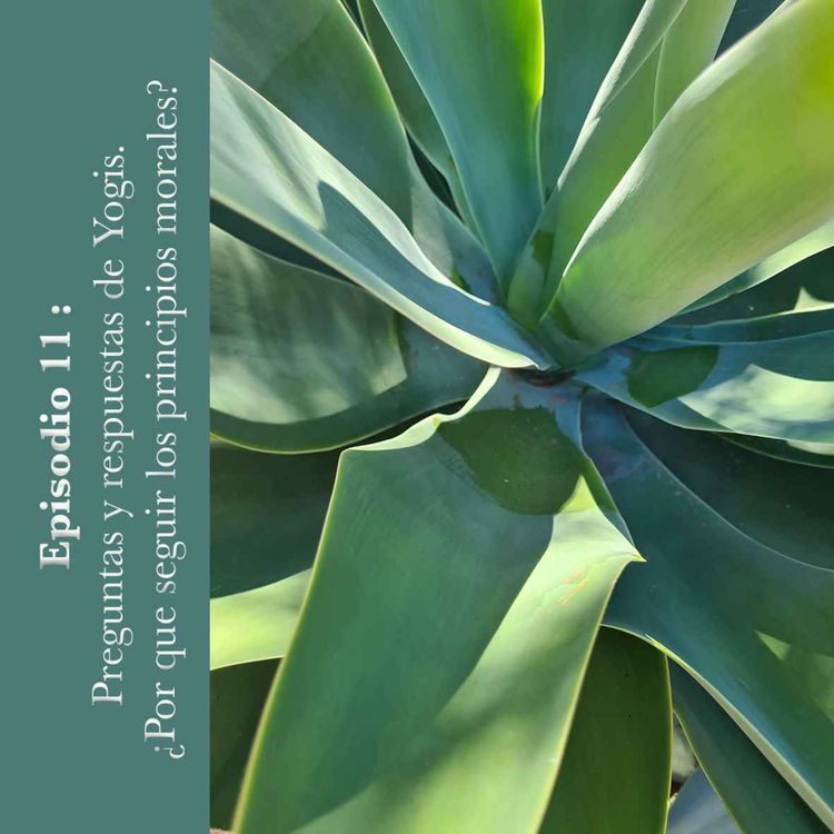 cover art for #11 P&R yogis: ¿por que seguir los principios morales?