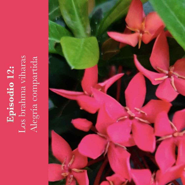 cover art for #12 Los brahma viharas; Alegría compartida
