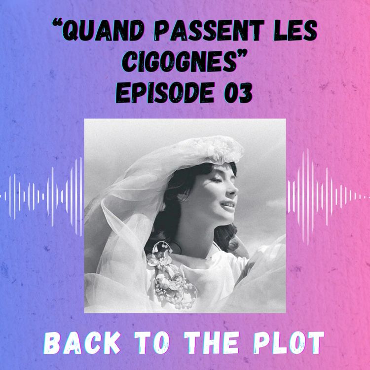cover art for Episode 3 - Quand passent les cigognes