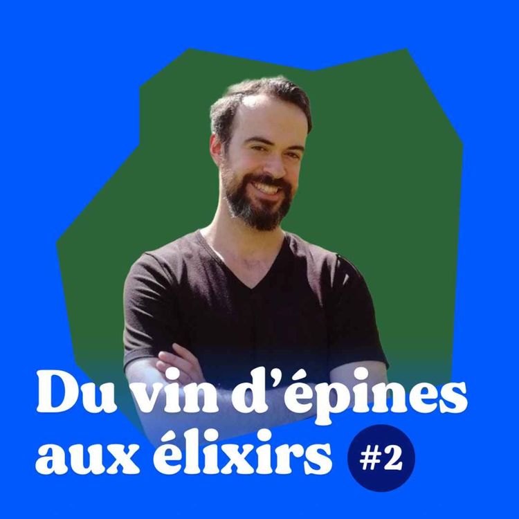 cover art for DJIN SPIRITS 2/4 : Du vin d'épines aux élixirs