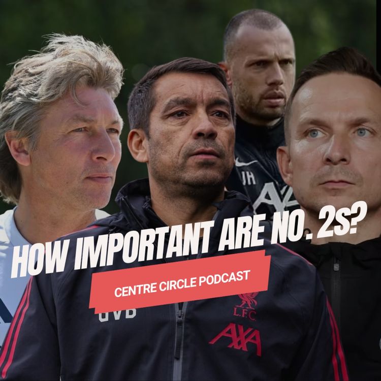 cover art for How Important are No2s