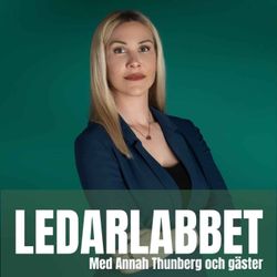 cover art for Ledarlabbet