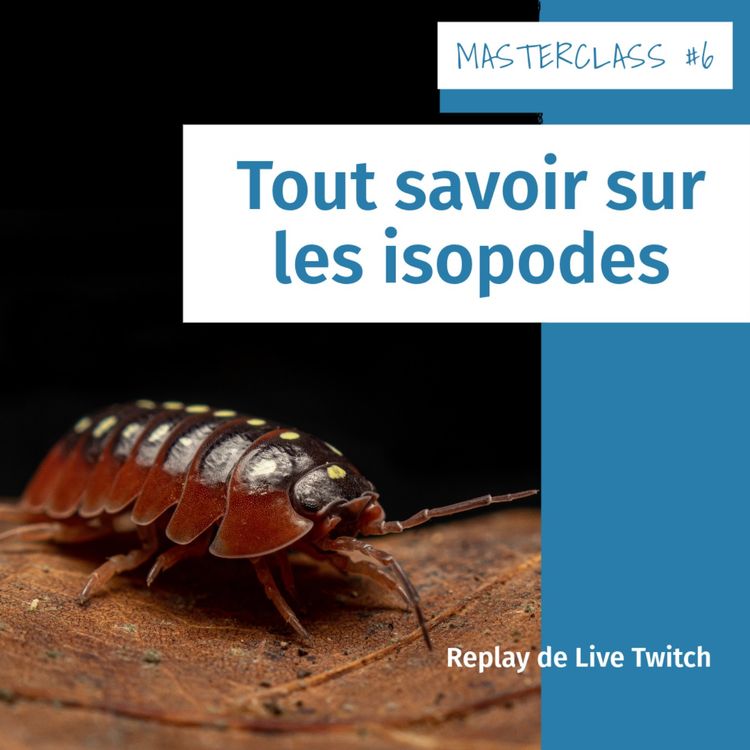 cover art for Masterclass terrariophiles #6 : Tout savoir sur les isopodes