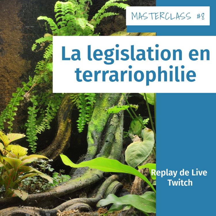 cover art for Masterclass terrariophiles #9 : Aménagement / Proies / Éclairage