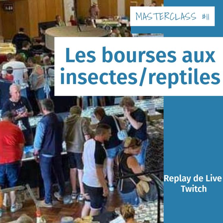 cover art for Masterclass terrariophiles #11 : Les bourses insectes/reptiles