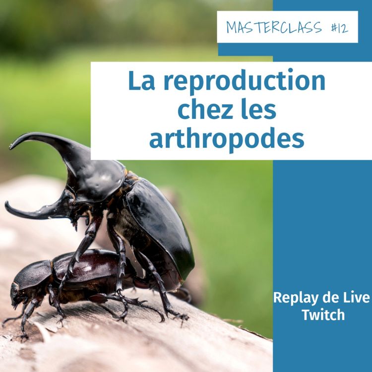 cover art for Masterclass terrariophiles #12 : La reproduction chez les arthropodes