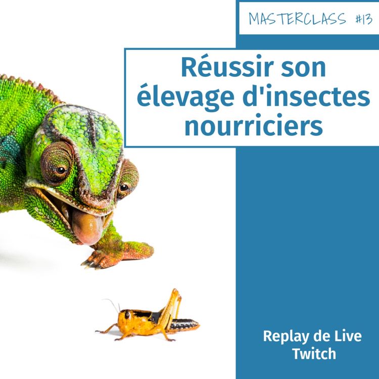 cover art for Masterclass terrariophiles #14 : Réussir son élevage d'insectes nourriciers