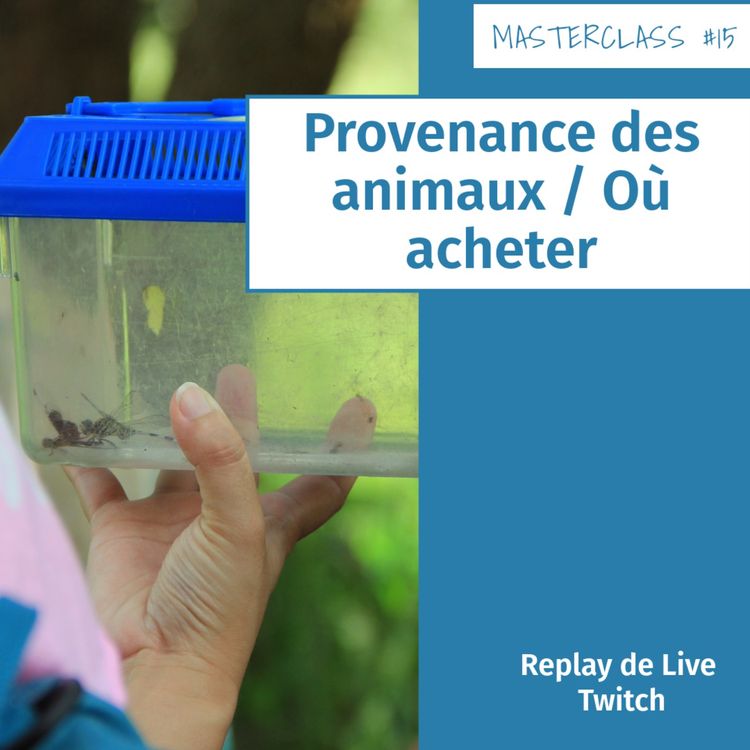 cover art for Masterclass terrariophiles #15 : Provenance des animaux / Où acheter