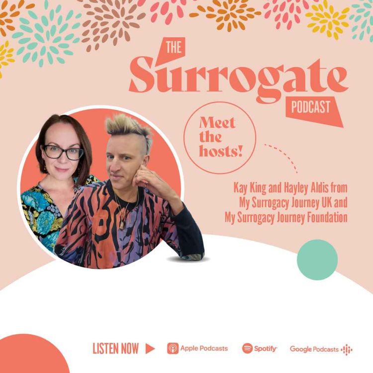 cover art for S1: Meet the hosts