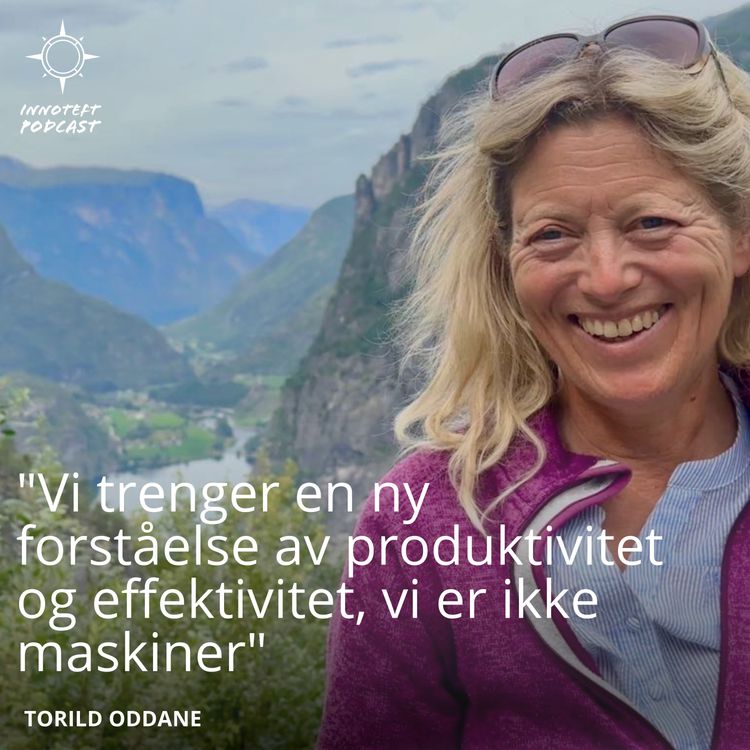 cover art for Vi er ikke maskiner: om kreativitet, innovasjon og en ny forståelse av produktivitet | Torild Oddane