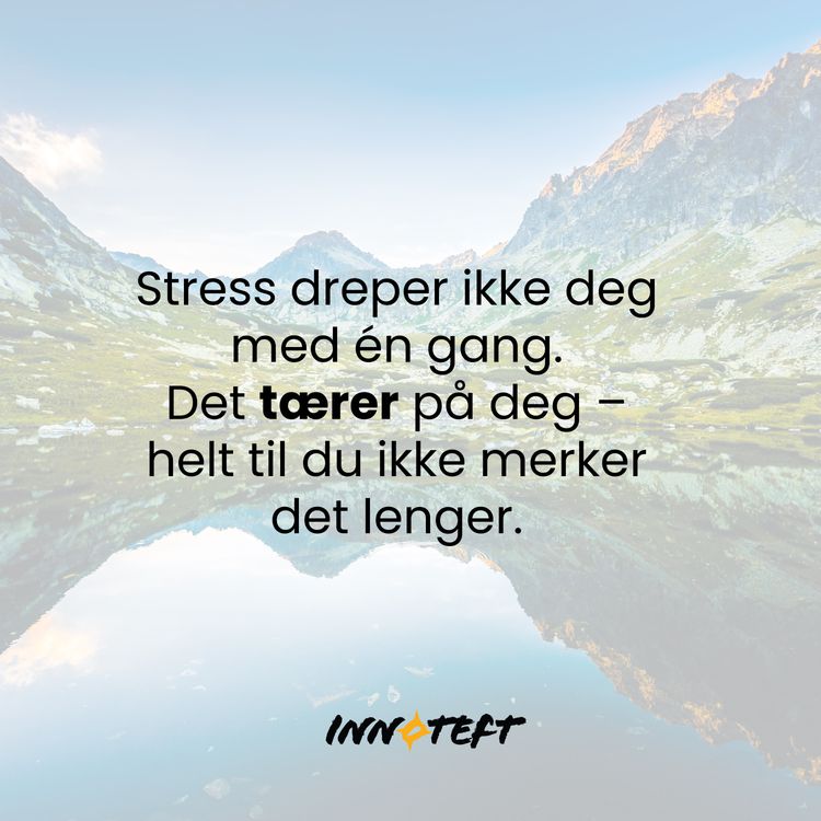 cover art for Lande, lade og løfte – hva Dr. Ingrid lærte oss om stress, ledere og bærekraftig arbeidsliv