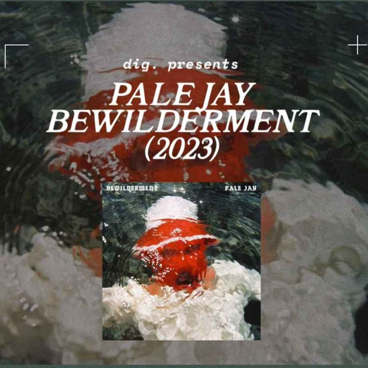 cover art for #9 : Pale Jay "Bewilderment", ou l'acceptation de soi