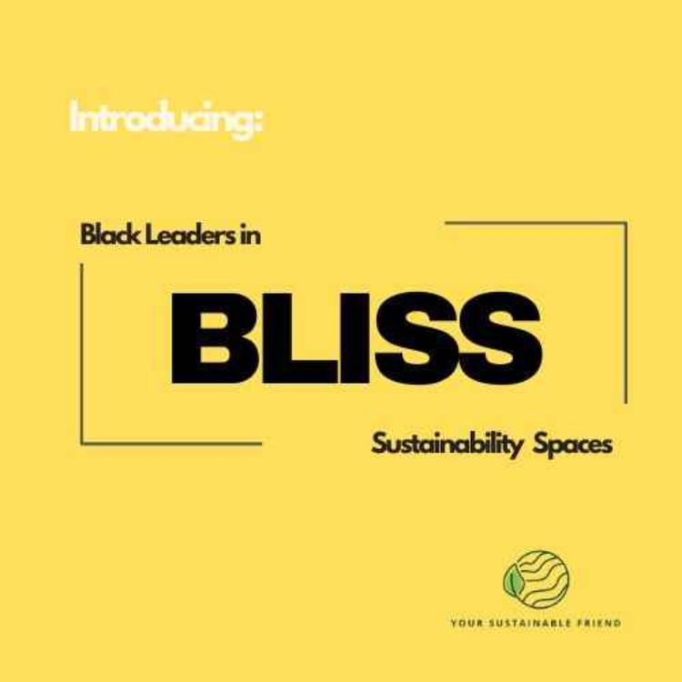 cover art for Introducing BLISS