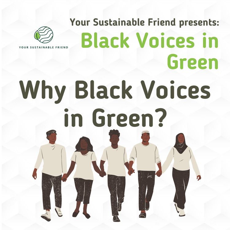 cover art for Series Roundup: Why Black Voices In Green