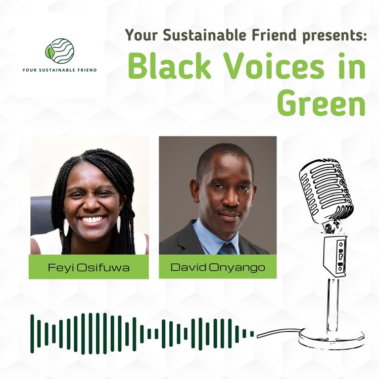 cover art for Turning Ripples into Waves: David Onyango's Sustainability Journey and the need for Collective Action