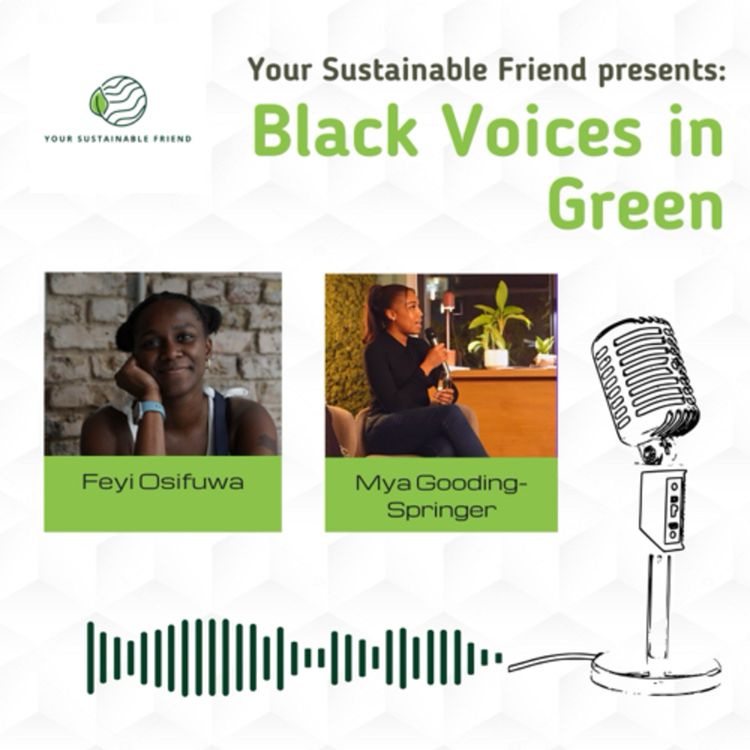 cover art for From Threads to Trends: Swapped and Fast Fashion with Mya Gooding-Springer