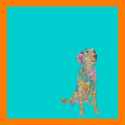 cover art for Le Commun des Vivants