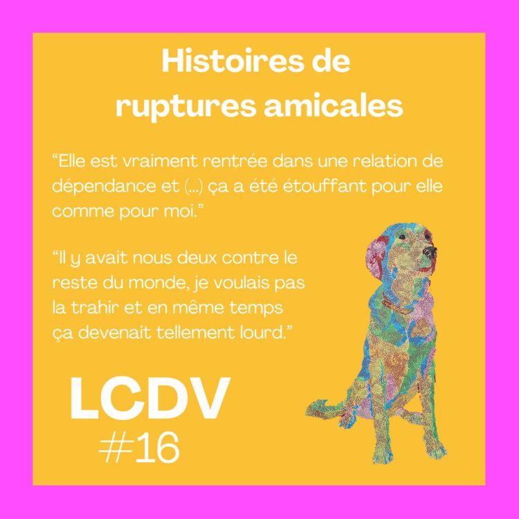 cover art for Histoires d'amitiés : ruptures amicales