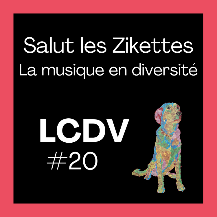 cover art for Salut les Zikettes, la musique en diversité